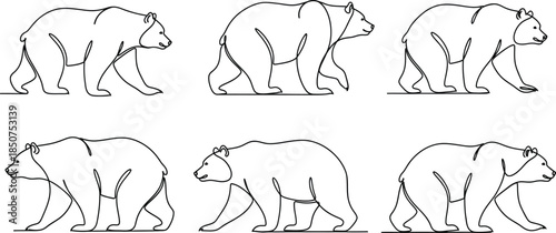 Six bears walking