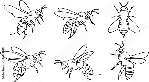 Line art bees collection