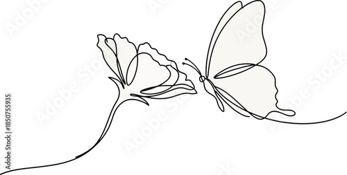 Butterfly and flower art