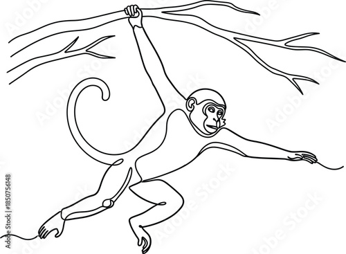 Monkey hanging on branch