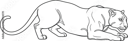 Prowling big cat outline