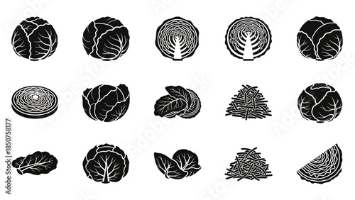 Cabbage Collection: An elegant artistic collection of cabbages showcasing their intricate layers and forms, capturing the essence of fresh, organic vegetables.