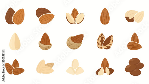 Almond Assortment: A diverse array of almonds, showcasing their natural beauty, versatility, and the textures of the individual seeds and components.