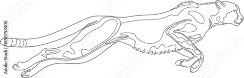 Cheetah running line art