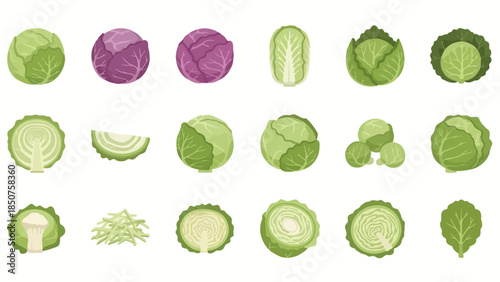 Diverse cabbage variations showcase a range of culinary possibilities, from crisp green heads to vibrant red varieties, demonstrating the versatility and health benefits of this kitchen staple.