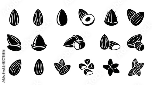 Almonds Graphic Set: An illustrative collection of almonds, in a monochrome style, showcasing the essence of this natural ingredient. 