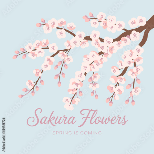 Delicate sakura flowers bloom vibrantly against a soft background, signaling the arrival of spring. Their beauty symbolizes renewal and the fleeting nature of life.