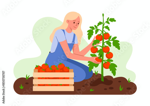 A dedicated gardener tending to a flourishing tomato plant, showcasing the beauty of gardening, sustainable living, and the joy of harvesting fresh produce from nature’s bounty.