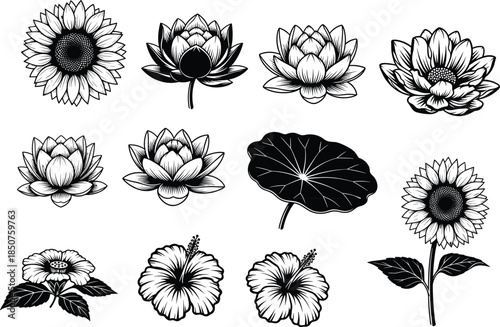 Lotus, sunflower, hibiscus silhouettes, floral and leaf elements, botanical design, black and white art, elegant motif, tattoo collection