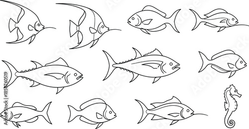 Fish and seahorse outline