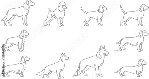 Dog breeds line art