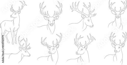 Deer line art collection