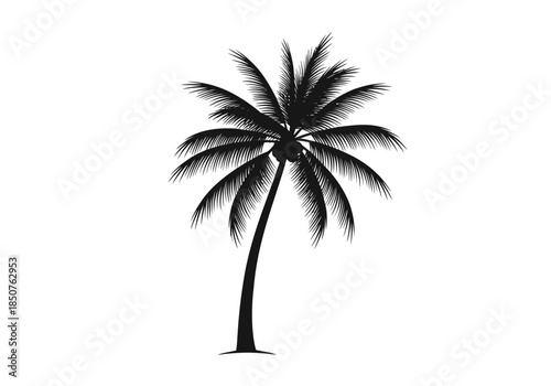 Vector illustration of a palm tree swaying in the breeze, tropical theme, clean vector outlines, clipart style vector
