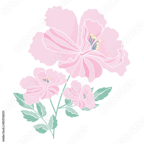 pink flower background