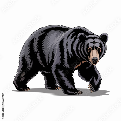 A striking illustration of a black bear walking confidently through a natural landscape, showcasing the animal's strength and grace in its habitat.