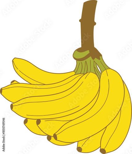 Bunch of yellow bananas