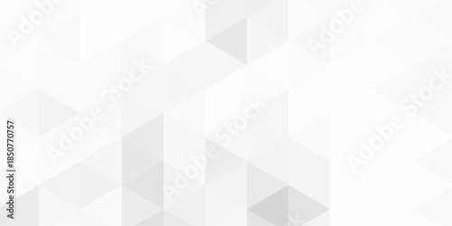 White and gray background. Geometric style. Mesh of triangles. Mosaic template for your design. Paper texture.