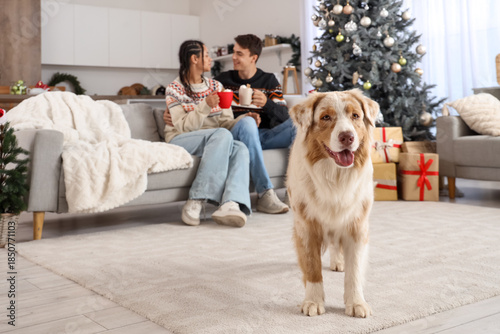 Cute dog and young couple w...