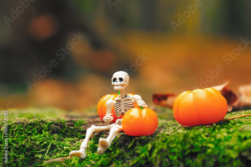 Wallpaper Mural Toy human skeleton figurine sitting on moss with dreamy look, orange pumpkins in woodland Torontodigital.ca