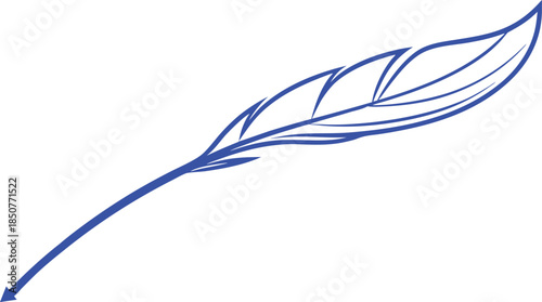 vector illustration of feather