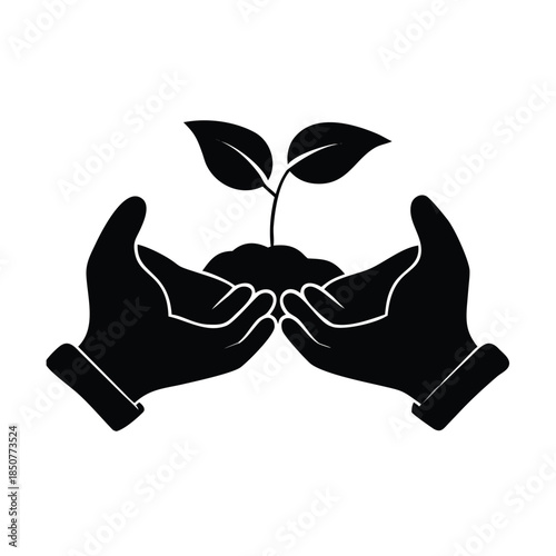 Hands Holding Seedling Growth Concept For Sustainability
