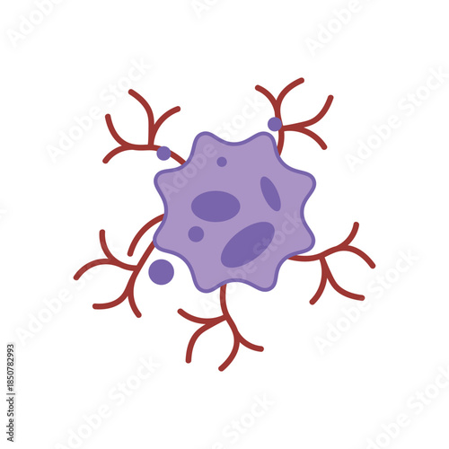 Cancer Cell Growth