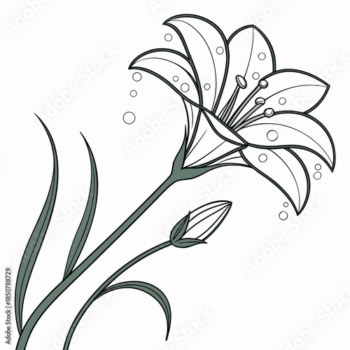 Flower With Water Droplets Illustration Clean Vec (3) Vector Illustration