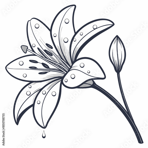 Flower With Water Droplets Illustration Clean Vec Vector Illustration