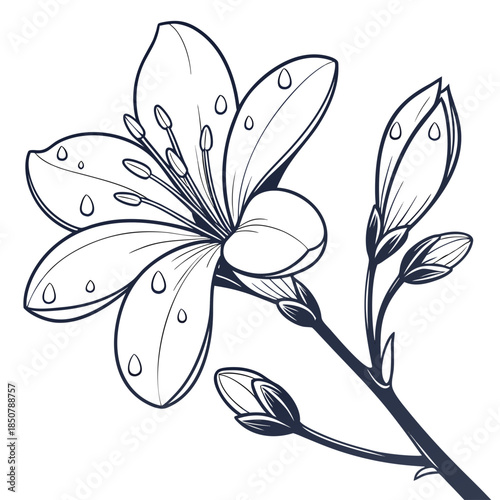 Flower With Water Droplets Illustration Clean Vec (2) Vector Illustration