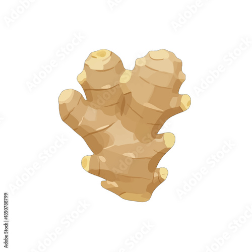 Fresh ginger root in detailed close-up view.