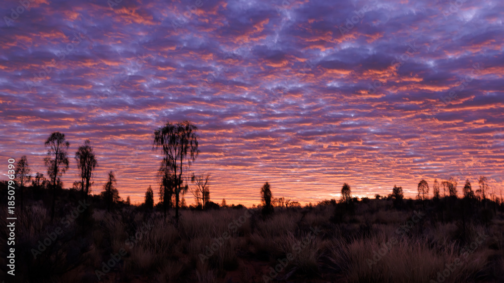 Fototapeta premium Cloudy sky at sunrise somewhere in the outback, Northern Territory, Australia