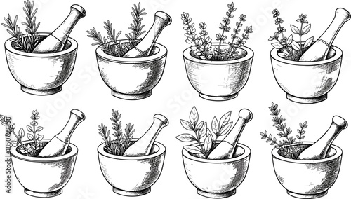 Set of eight hand-drawn herb and spice mortar and pestle illustrations, featuring various plants for apothecary, natural medicine, cooking, healing, and holistic health concepts.