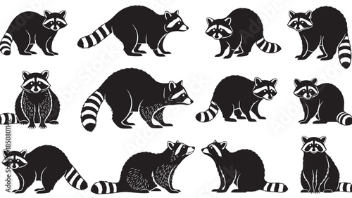 Collection of Various Raccoon Characters in Different Poses on Transparent Background