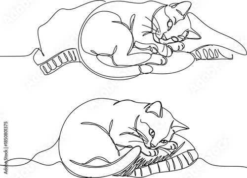Line drawing of two cats sleeping on a cozy blanket in a peaceful indoor setting on a transparent background