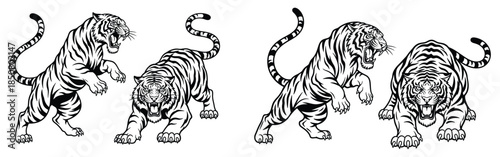 Tiger drawing set, roaring predator animal vector, wild jungle feline illustration, ferocious beast stencil art collection