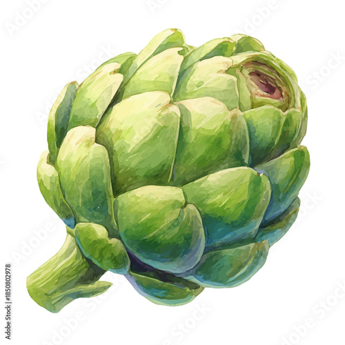 Watercolor isometric vector-style illustration of Artichoke, isolated on white background.