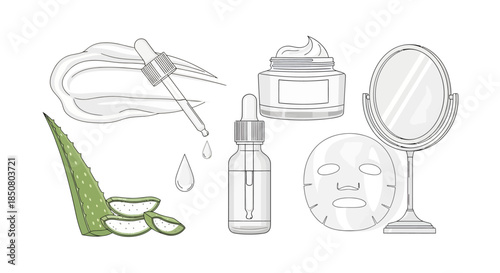 Skincare products and aloe vera ingredients for beauty routines and self-care