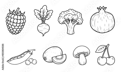Set of fruits and vegetables including raspberry, beet, broccoli, pomegranate, peas, kiwi, mushroom, cherry. fresh produce, organic food, healthy diet, natural ingredients, food collection