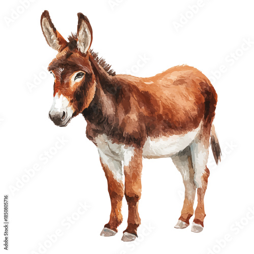 Watercolor isometric vector-style illustration of Donkey, isolated on white background.