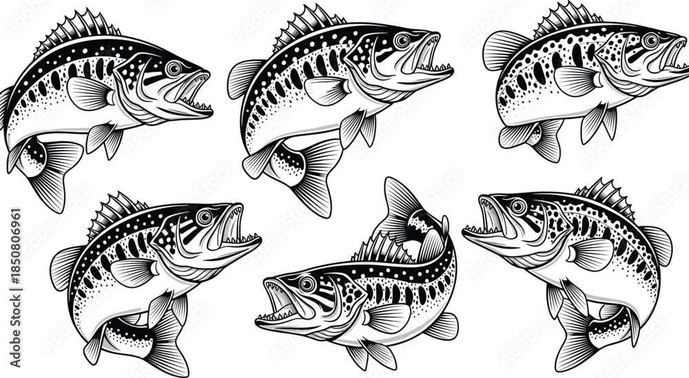 Fototapeta premium Predatory freshwater fish collection in dynamic poses, aggressive aquatic species, fishing reference and wildlife art, flat vector illustration