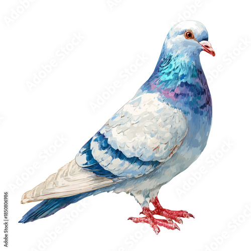 Isometric watercolor graphic of Dove, neatly isolated on white background.