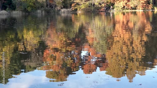 Autumn Scenery at Shakujii Pond in Tokyo