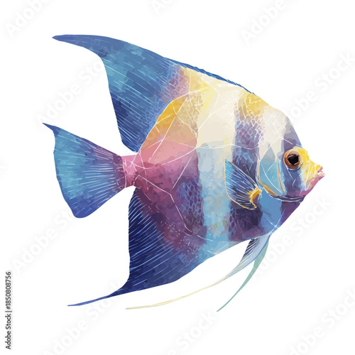 Angelfish in detailed isometric watercolor art, isolated on a pure white backdrop.