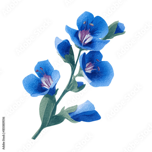 Isometric-style watercolor depiction of Veronica Flower, set against a white background.