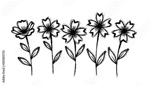 Hand-drawn black and white floral illustration featuring five simple blooming flowers in a minimal artistic sketch style