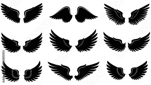 A set of nine different wing designs in a simple black and white silhouette style. The wings are all different shapes and sizes, and would be perfect for a variety of design projects.