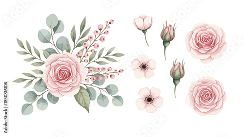 A beautiful watercolor illustration featuring a floral arrangement with pink roses, eucalyptus leaves, and berries. Includes separate elements of roses, buds, and anemone flowers