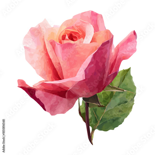 Isometric watercolor rendering of Pink Rose, isolated on a clean white background.