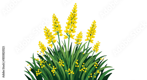 Isolated Yellow Flowering Plant Vector Illustration Graphic Design Element Spring Summer Nature Bloom