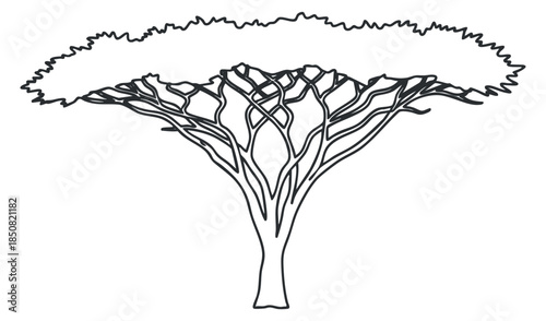 An outline of a tree with an expansive canopy and intricate branches in minimalist vector style, ideal for nature-themed designs